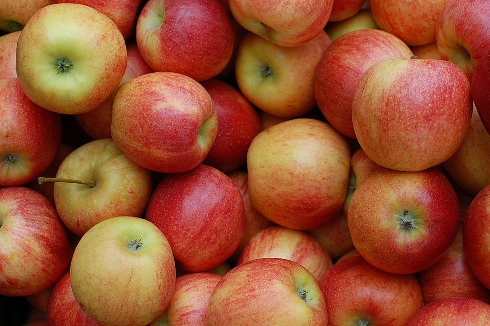 Creative Ways To Use All The Apples You've Picked In New York