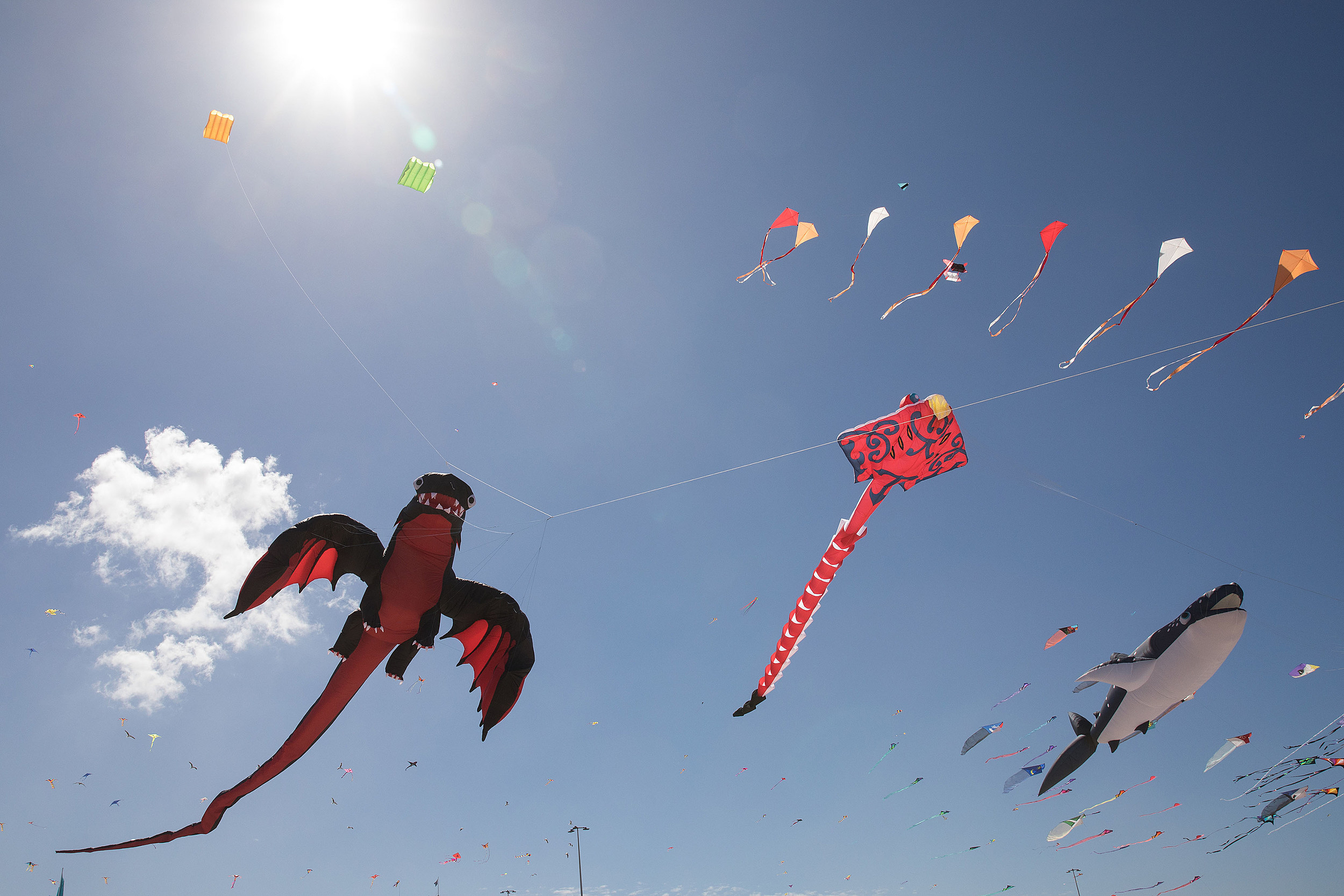 FREE Food, T-Shirts at 2 Fun Kite-Flying Kids Events on Saturday