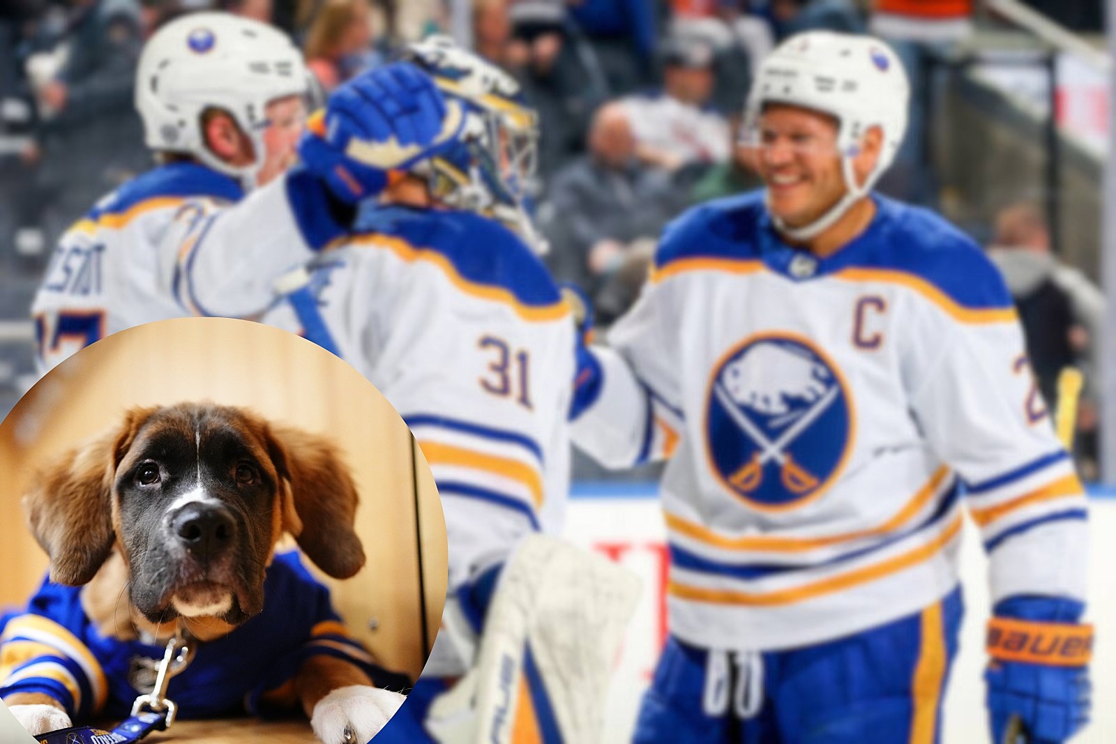 What's up with the Buffalo Sabres attendance? [Sports Commentary] - The  Leader