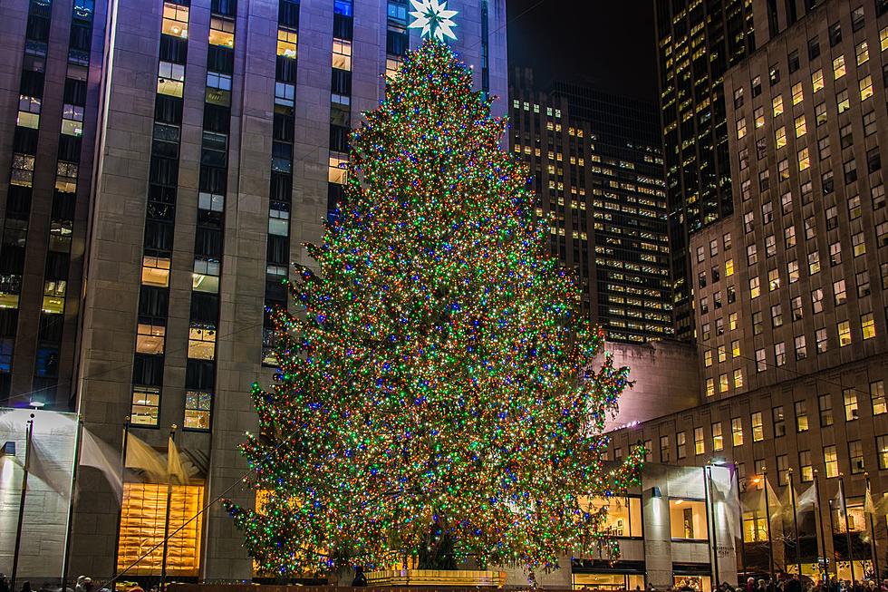 Fountain Plaza Has Set A Date For Their Christmas Tree Lighting