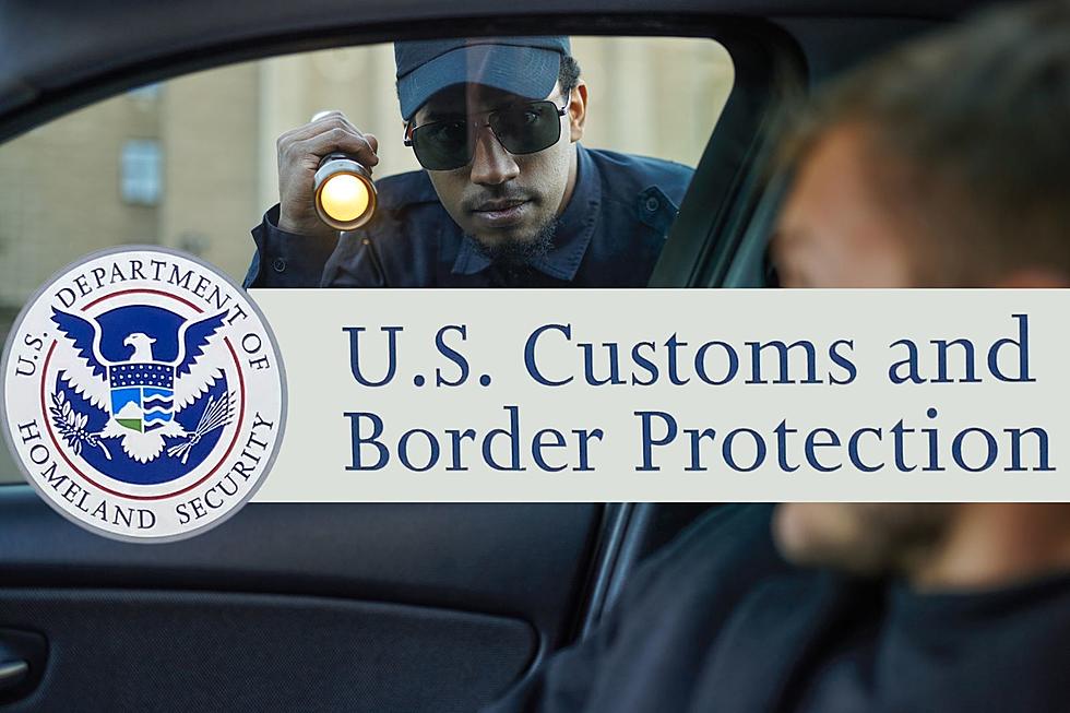 Two More Stolen Vehicles Worth Around $600k Stopped At The Border