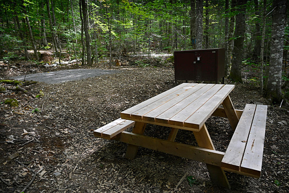 Massive News For Beloved New York State Campground