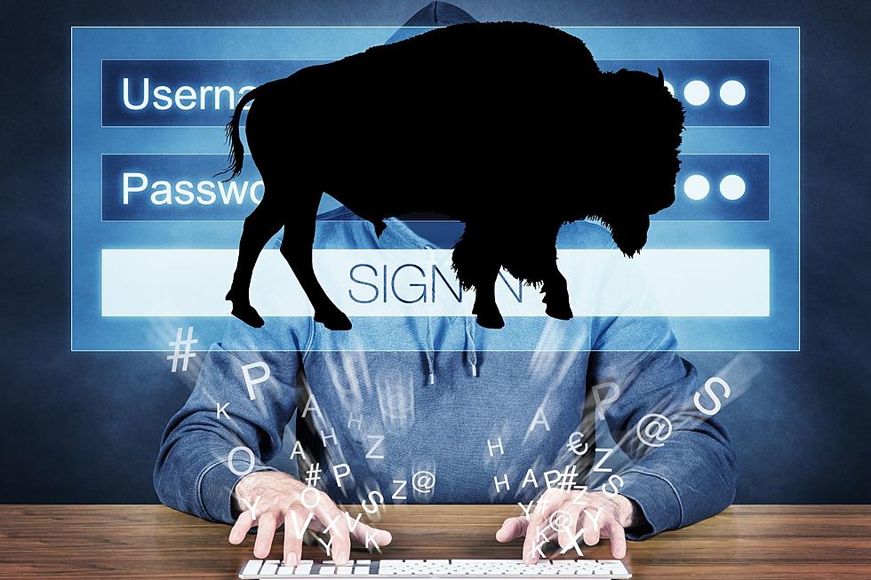 Buffalo Themed Passwords That Are Way Too Easy To Guess