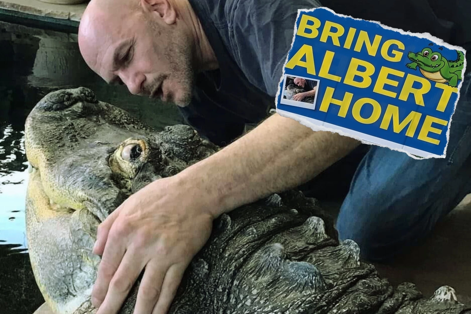 Supporters Fight To Bring Pet Alligator Home To New York