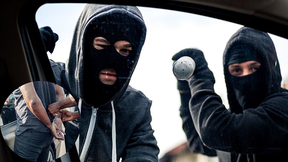 25 Punishments For Car Thieves In Western New York