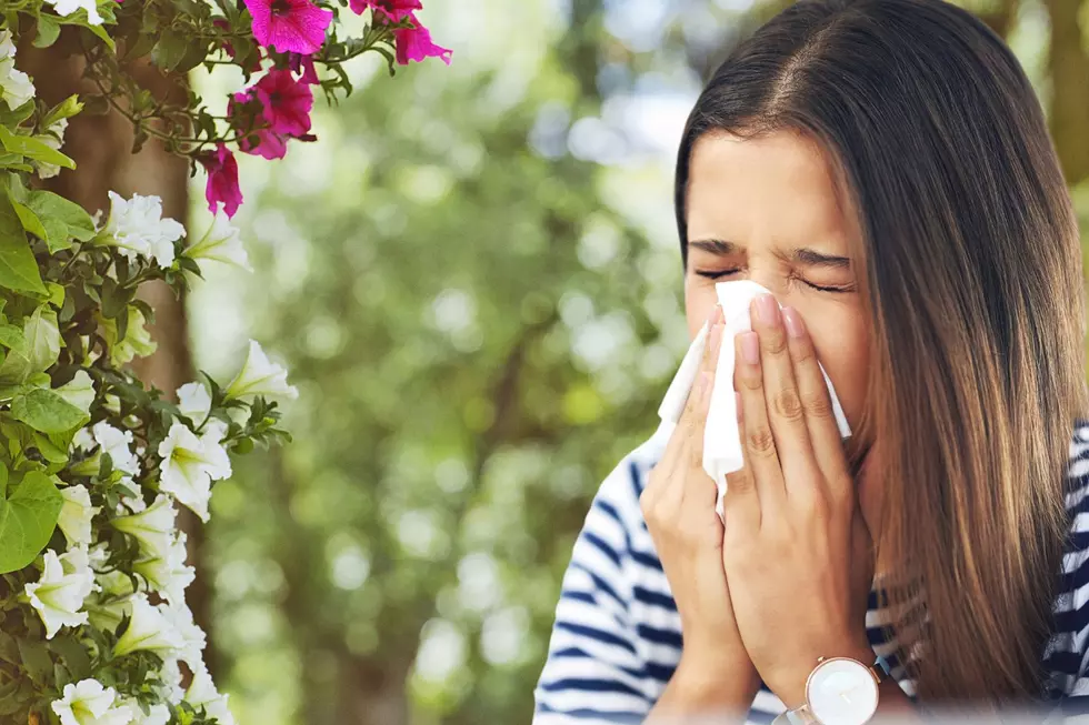 How To Avoid Awful Spring Allergy Symptoms In New York