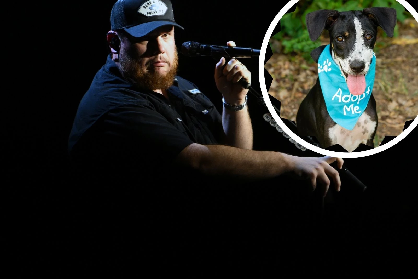 How To Help Awesome Paws Rescue While Watching Luke Combs