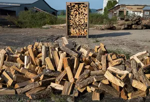 Firewood Laws Now In Affect Across New York State