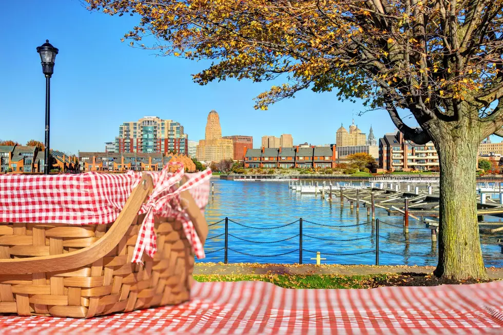 9 Perfect Places For A Western New York Picnic