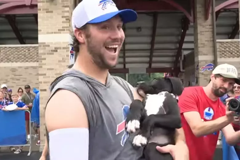 HOT NEWS: Josh Allen moved the online community when he pledged to invest 20 million dollars to build a "paradise" for stray dogs - where thousands of abandoned little creatures will find love, a home and a second chance in life!