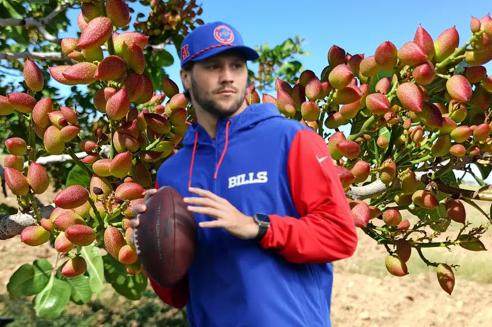 Josh Allen Pistachio Tree