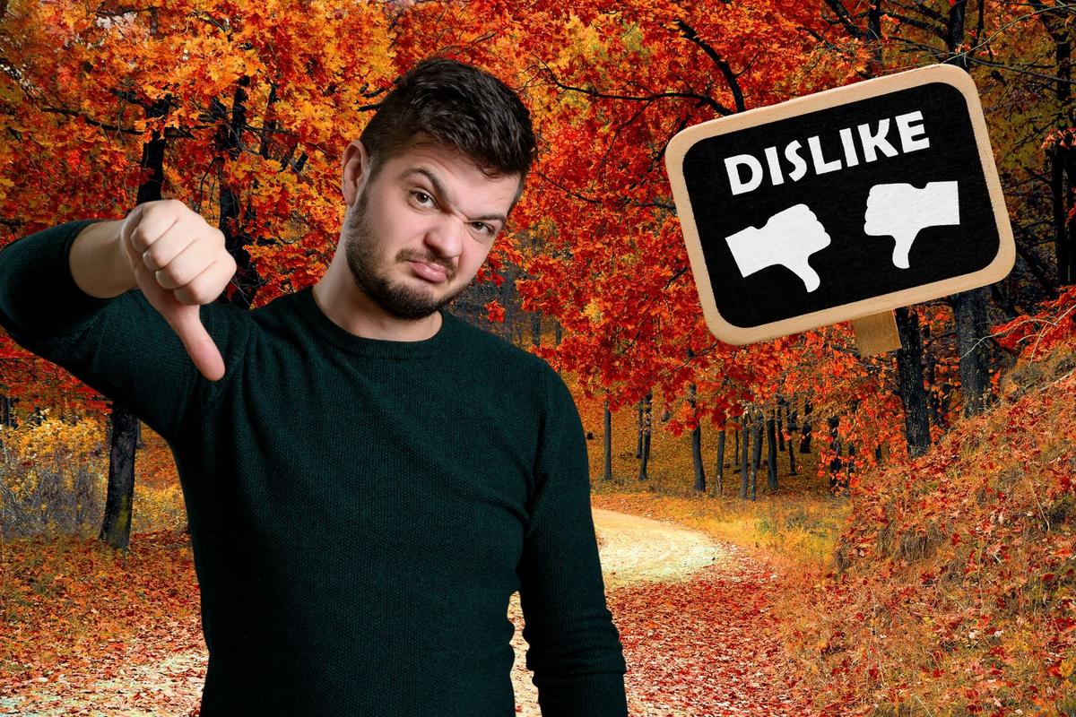 5 Reasons Fall Stinks In Western New York