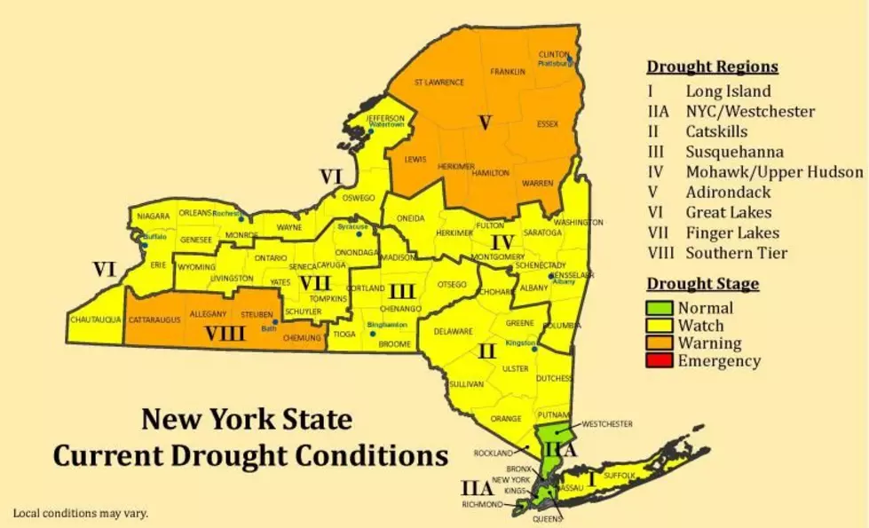 NYS DEC