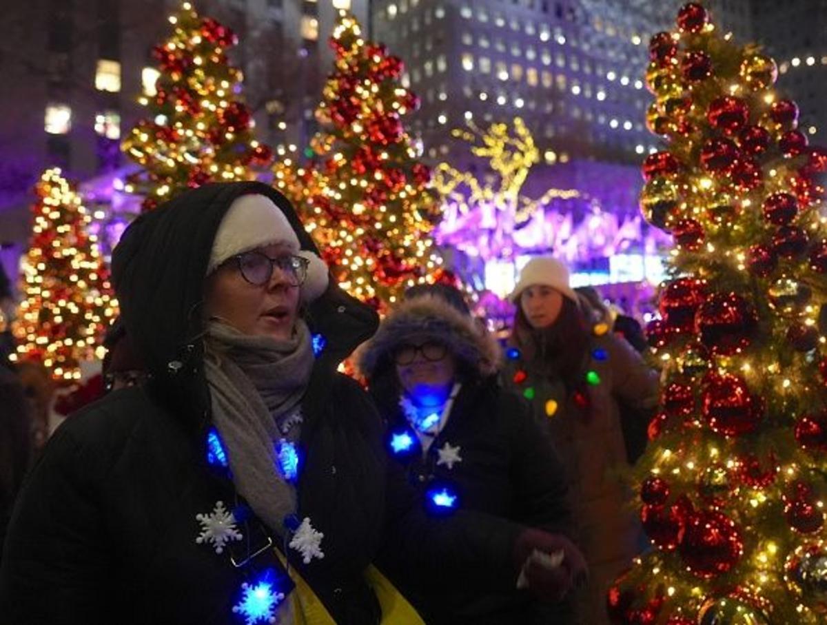 Could Your Tree Be New York's Official Christmas Tree?