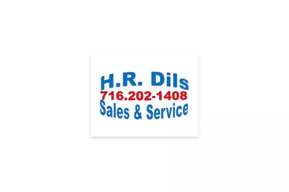HR Dils