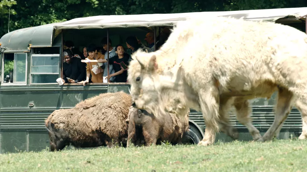 Hidden Valley Animal Adventures