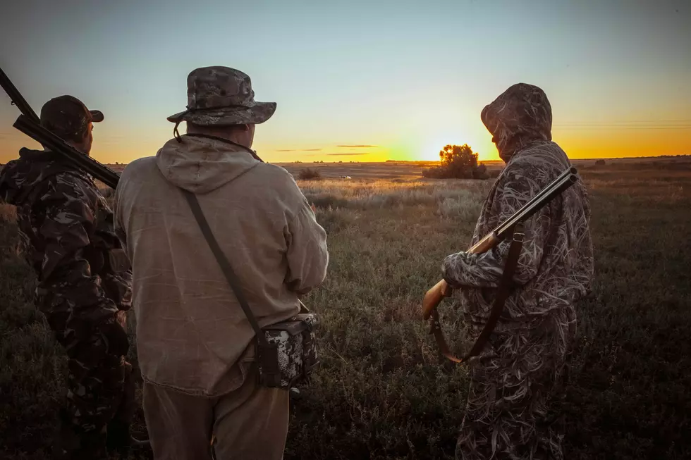 Hunting in New York State Depends on One Change