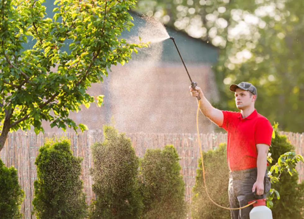 Destructive Outbreak is Being Monitored in New York State