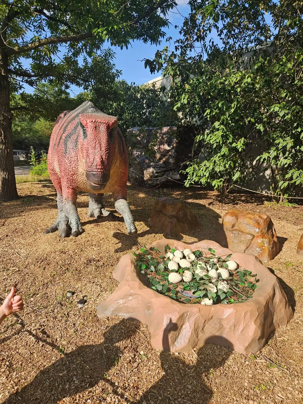 Massive Dinosaur Adventure Coming to Western New York