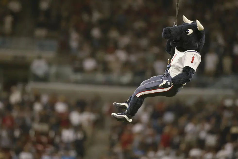 Houston Texans Mascot Hits Buffalo Bills Fan “Right Between the Legs”
