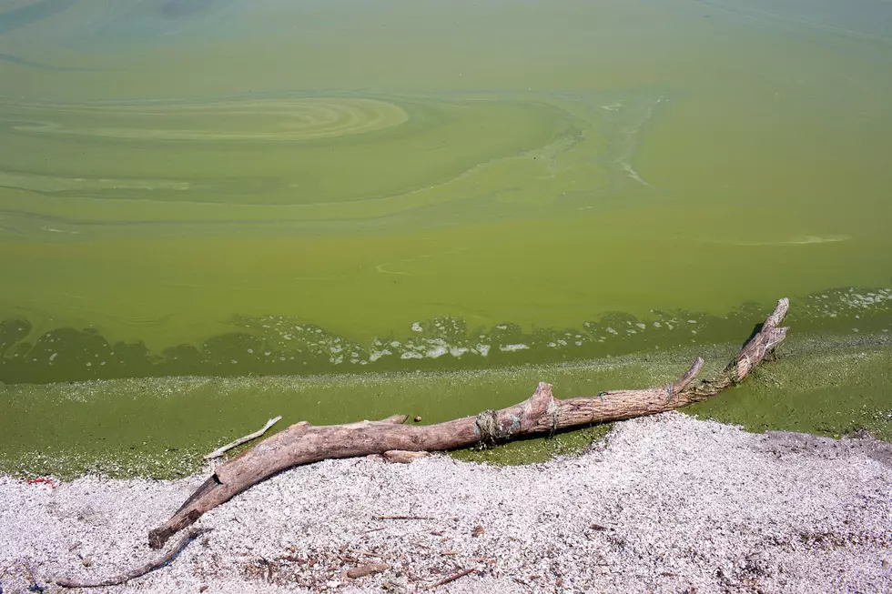 Unusual, Mysterious Discovery Washed Up on Lake Erie