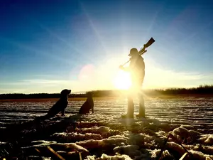 New York State is Warning Duck and Goose Hunters