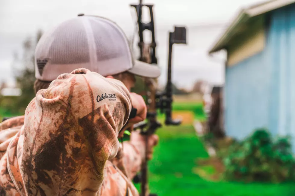 This Popular New York State Park to Allow Bow Hunting?