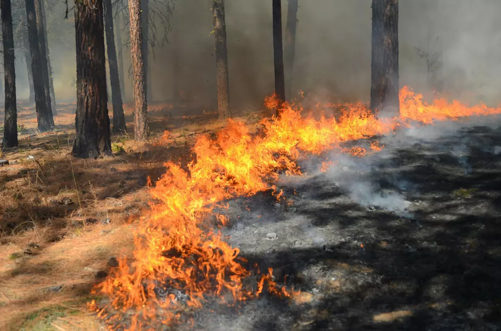 Wildfires Sparked in These Portions of New York State
