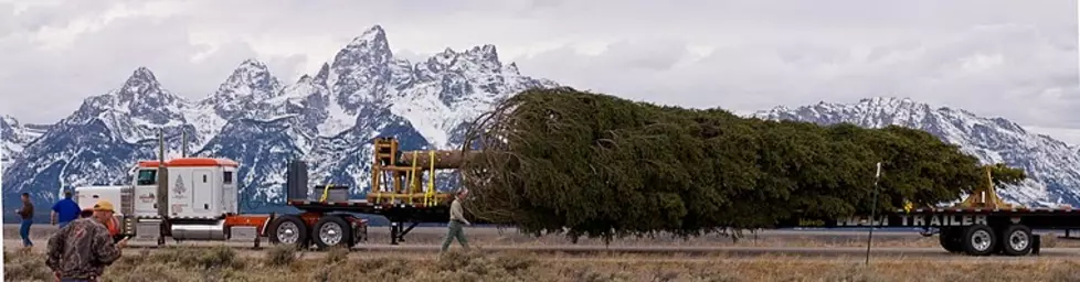 Travel Restrictions In Effect on Parts of Bridger Teton National Forest [AUDIO]