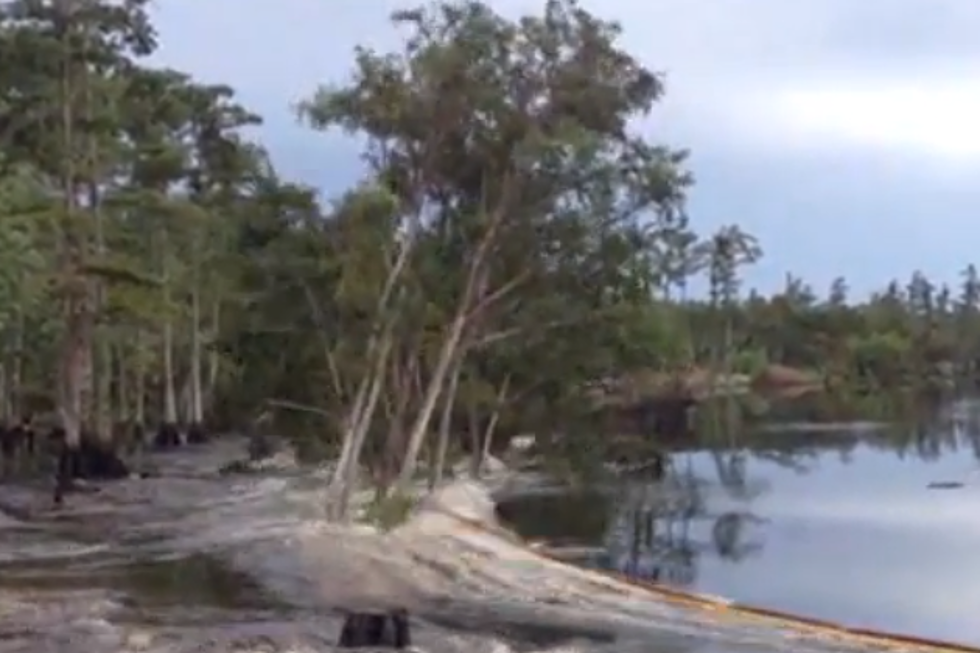 Louisiana Sinkhole Swallows Massive Trees [VIDEO]