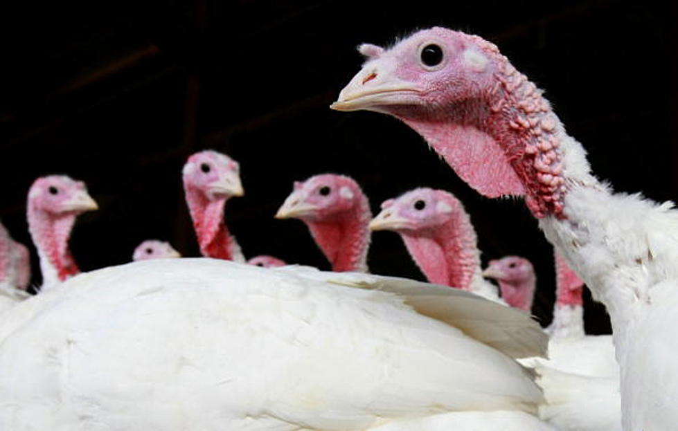 Real Calls To The Butterball Turkey Hotline