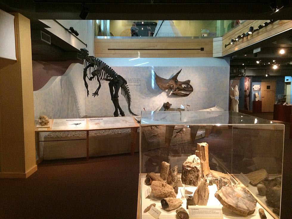 Wyoming State Museum Is Worth Much More Than The Price Of Admission