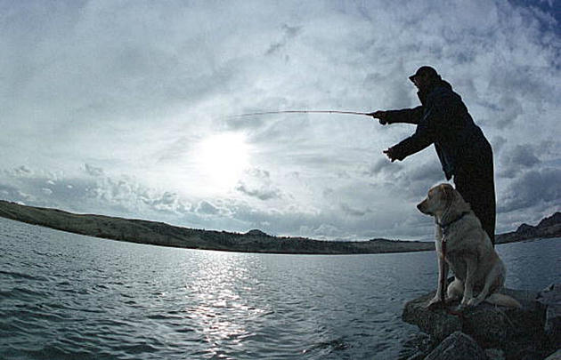 A Dog Catching Fish Is Legal In Wyoming &#8211; Isn&#8217;t It? [VIDEO]