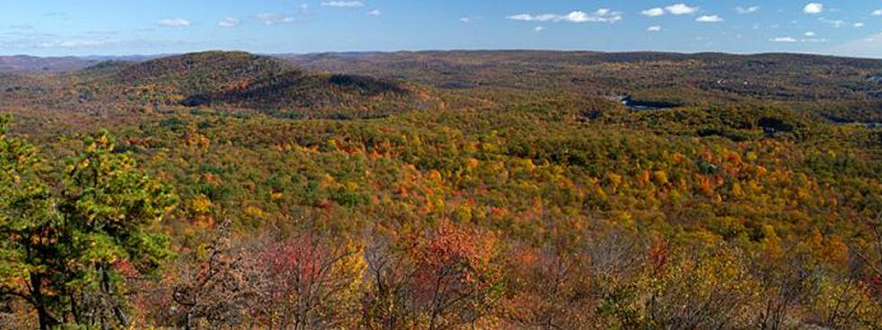 Wyoming Vs New Jersey: Which State Is More Beautiful? [PHOTOS]