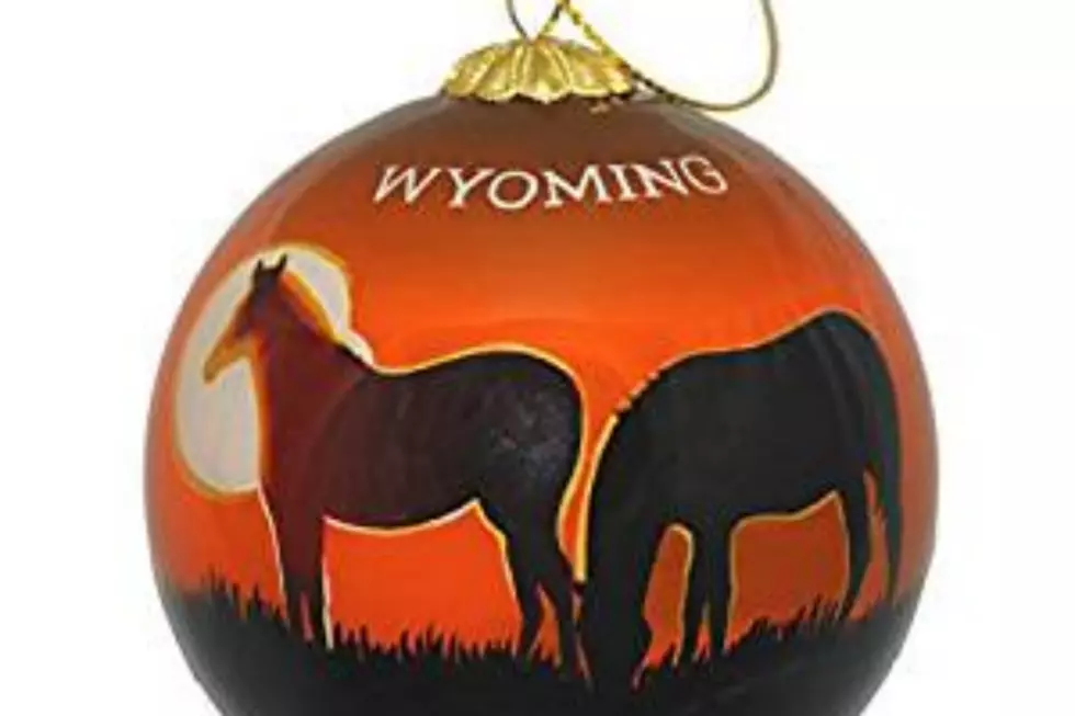 The Coolest Wyoming Christmas Ornaments And Where To Find Them