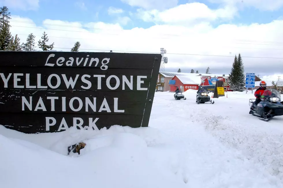 Newest Yellowstone Quakes Not A Worry [VIDEO]