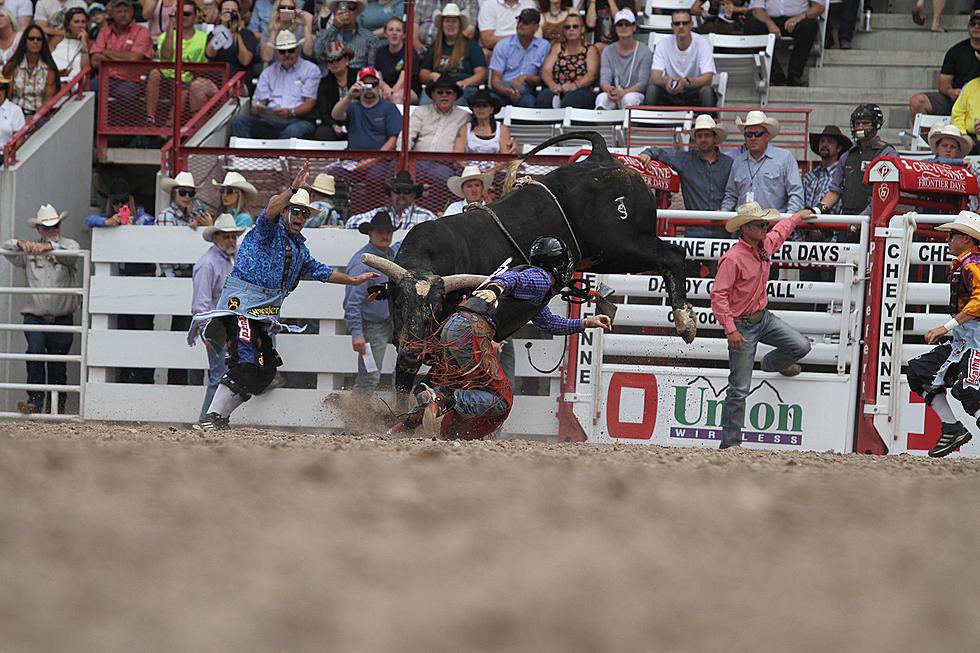 Cheyenne Frontier Days Standings After July 24 Rodeo