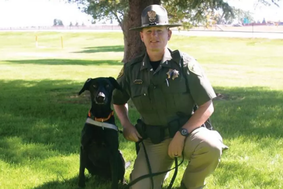 Wyoming Highway Patrol Lost One Of Their K-9 Partners
