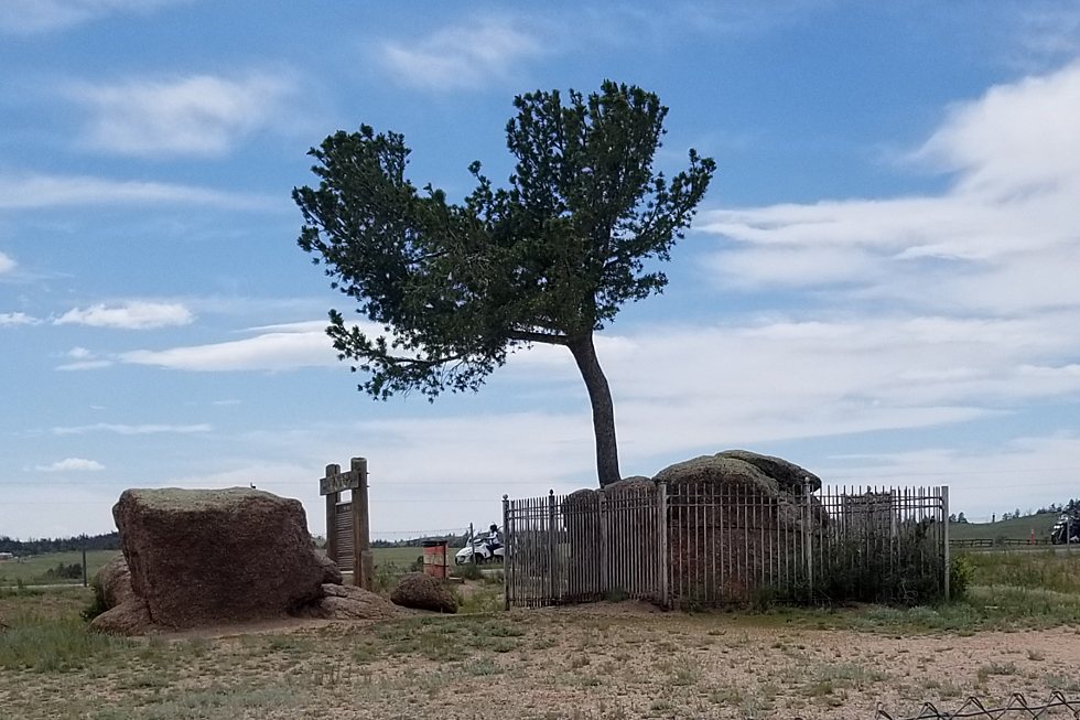 I Finally Stopped at that Tree in a Rock on I-80 West of Cheyenne