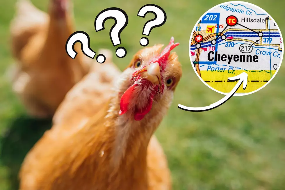 Can You Legally Own Chickens in Cheyenne City Limits?