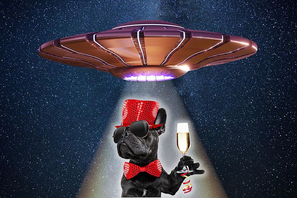 Cheyenne Animal Shelter’s 2024 Furball Theme is Out of This World