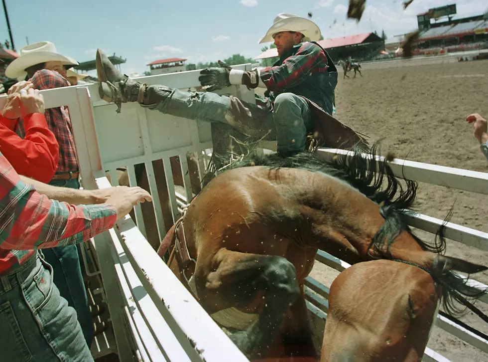 Wyoming rodeo team hosting online auction