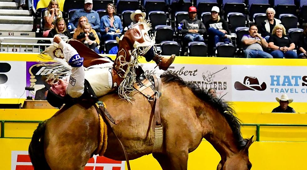 UW Rodeo Team Members Remain in Contention at CNFR