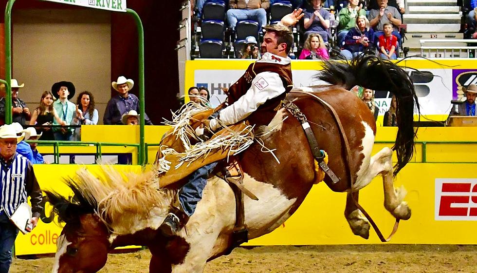 UW Bareback Rider Hits High Mark to Set Up CNFR Short Go Bid