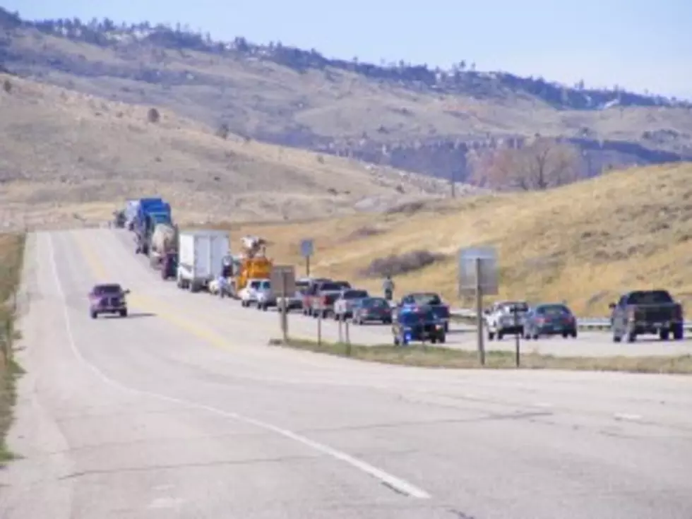Bees and Diesel Stop Traffic on 220 West of Casper