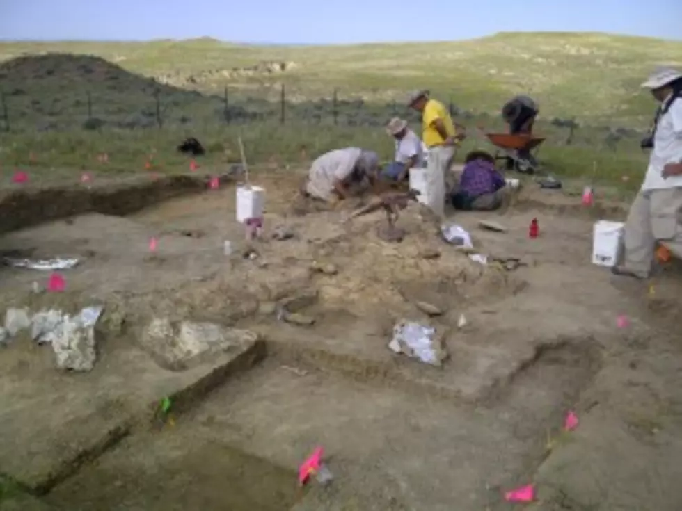 Casper College Offers Visits To T-Rex Dig Site [AUDIO]