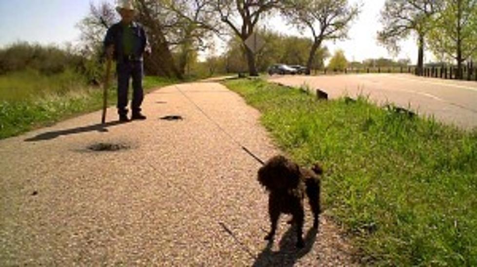 Best Places to Take Your Dog in Casper &#8211; Our Top Five