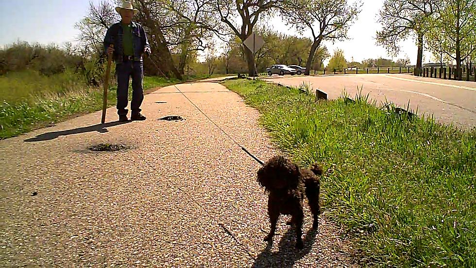 Best Places to Take Your Dog in Casper – Our Top Five