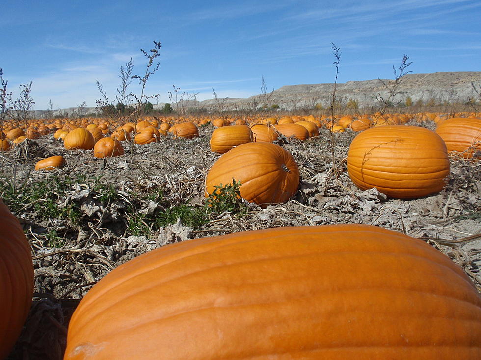 Trick or Treating In Casper