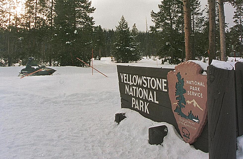 Yellowstone’s East Entrance To Open For Winter